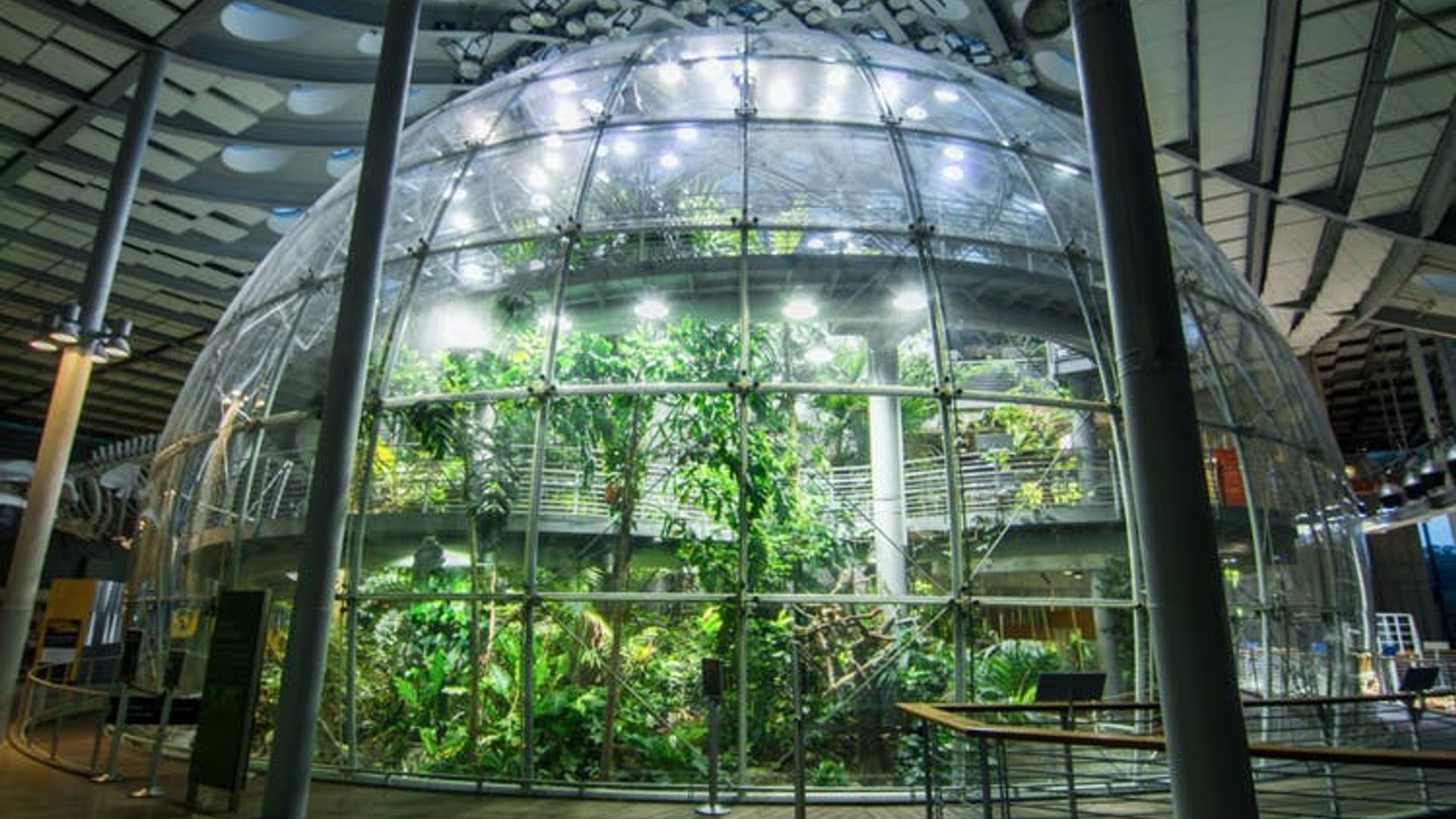 Explore California Academy of Sciences entrance tickets image 1