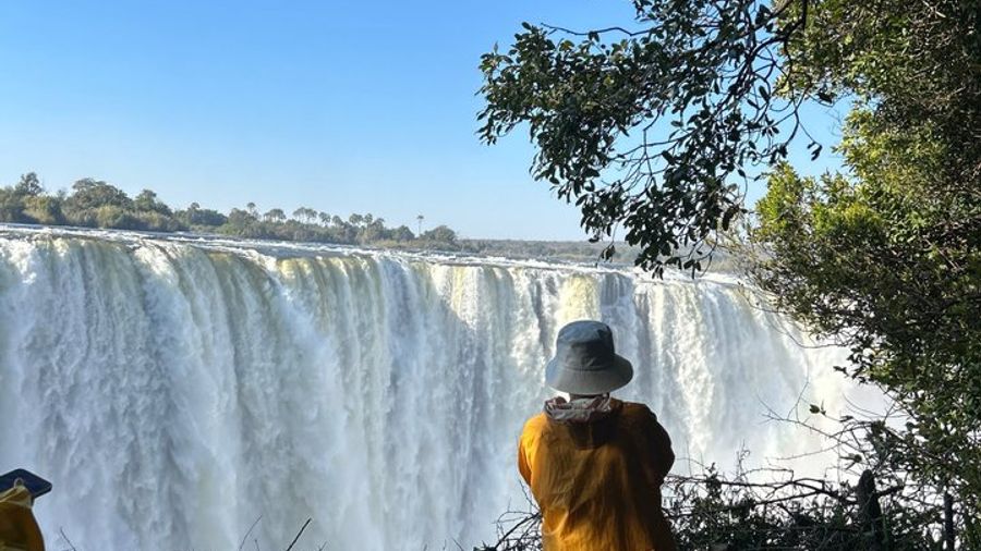Guided Tour of Victoria Falls with Local Guide