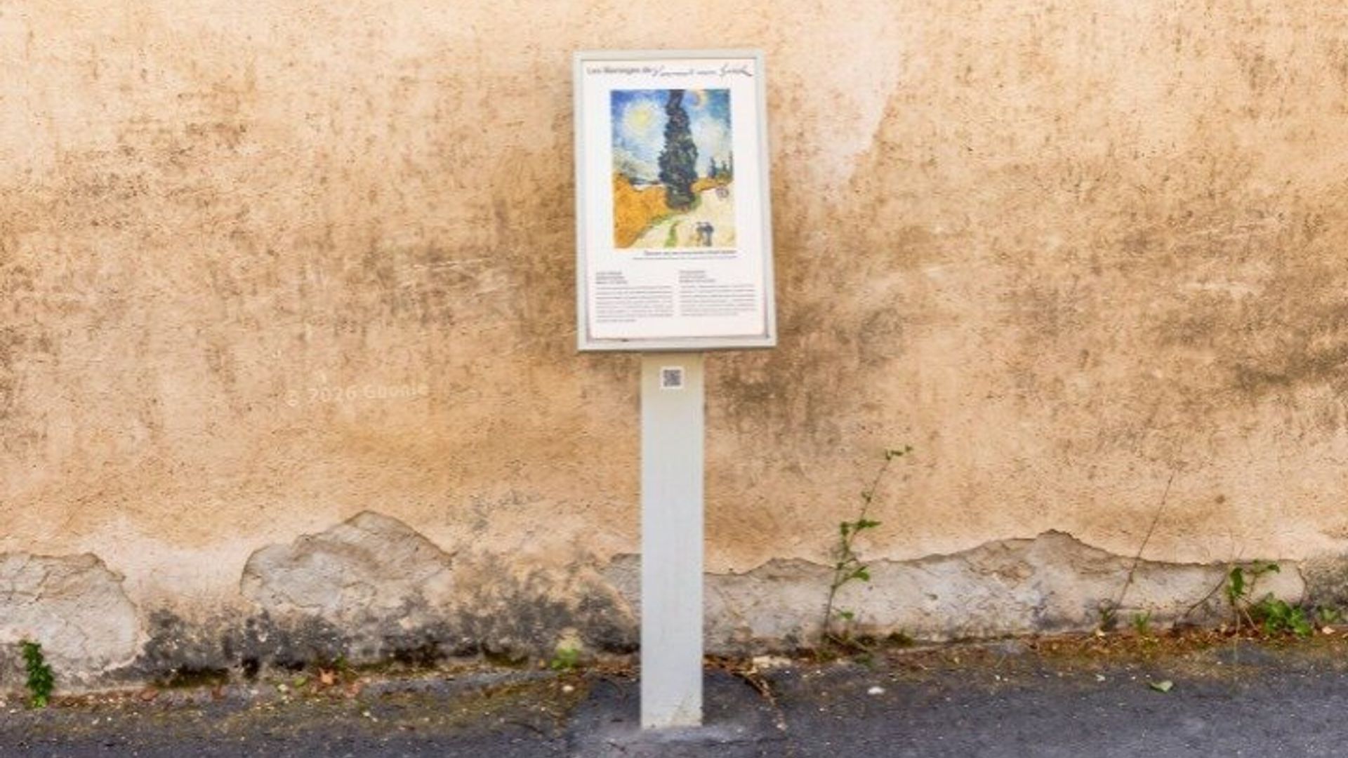 Tour a pie por Saint-Rémy-de-Provence Van Gogh