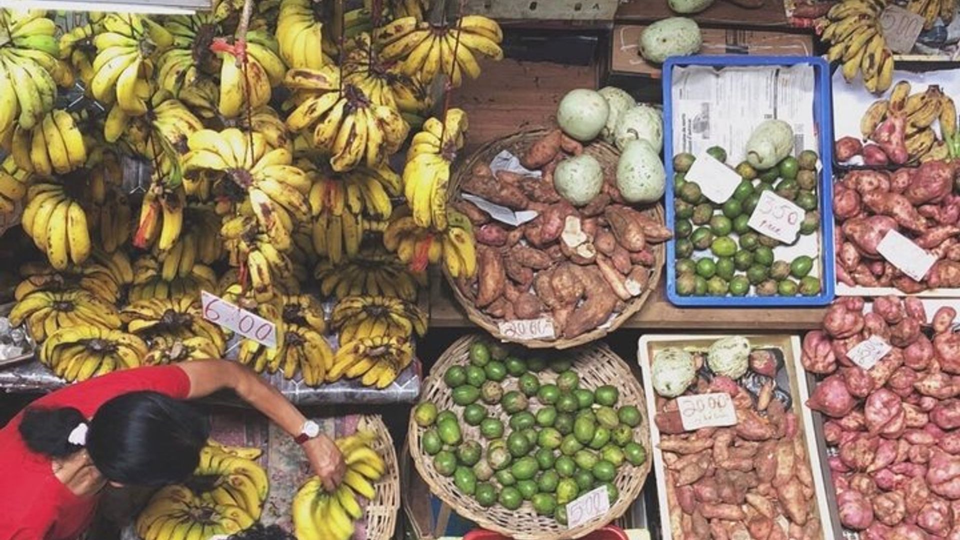 Private Shopping Day Tour in Mauritius Central Market