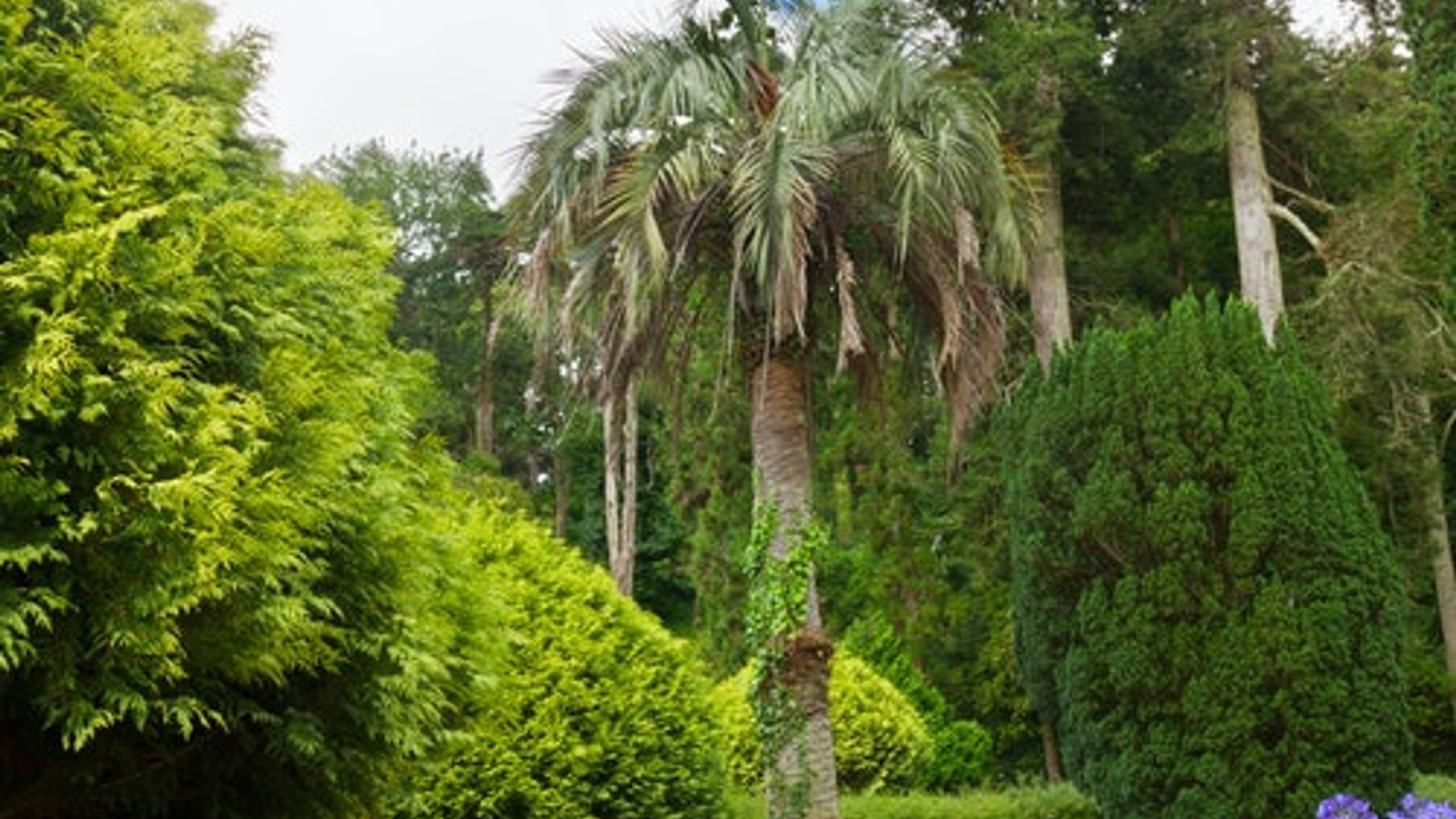 Parque da Pena en Sintra: Entrada