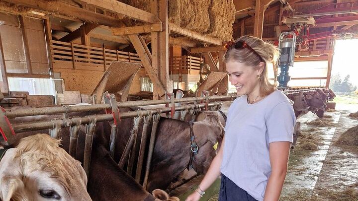 Lucerne Farms and Cheese Tasting Tour