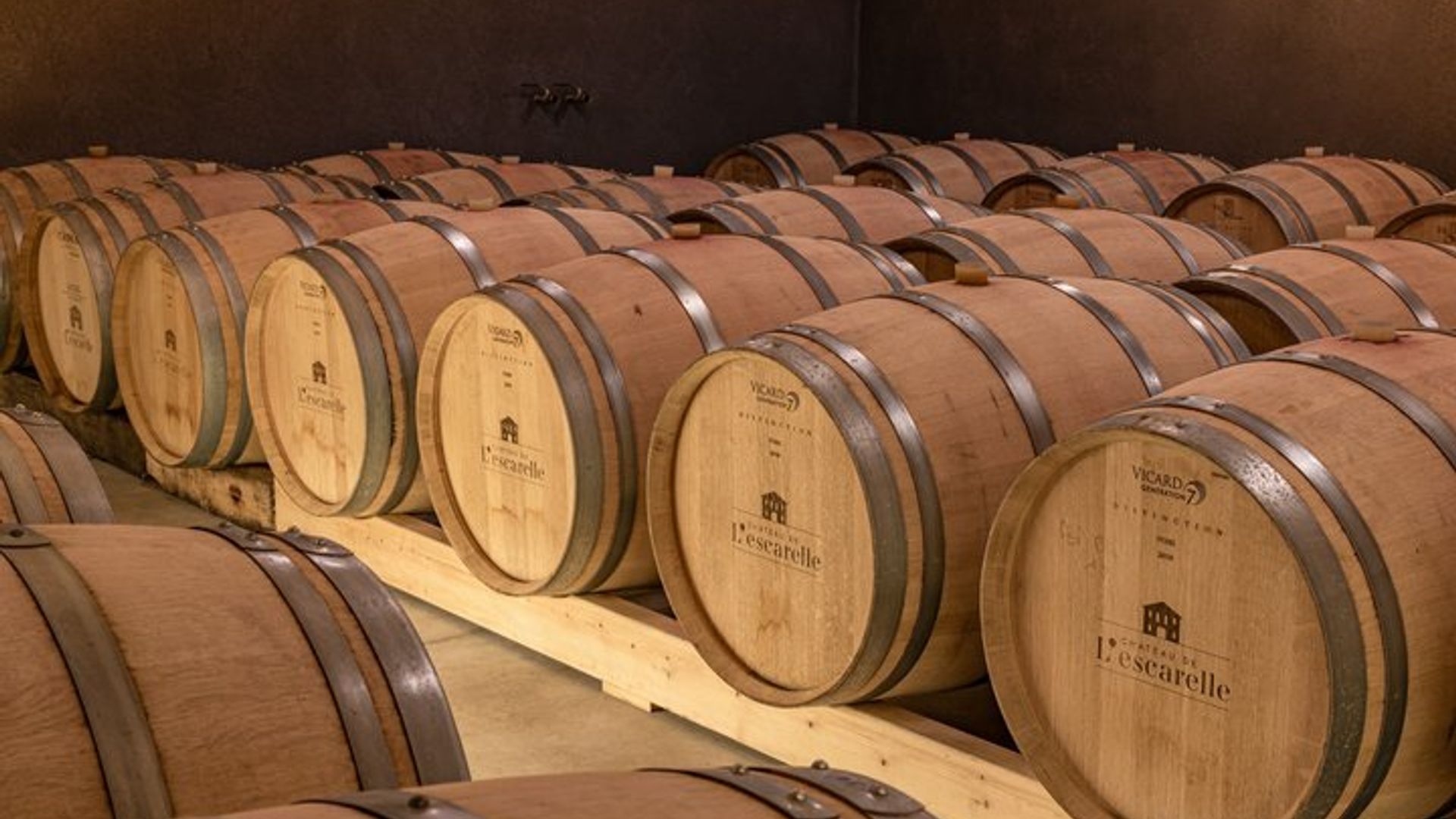 Visit of one of the most modern cellars in Provence