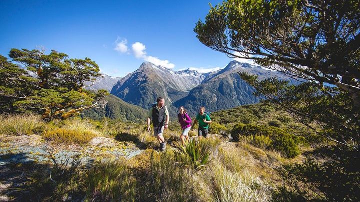 Routeburn Track Key Summit Small-Group Hike from Te Anau