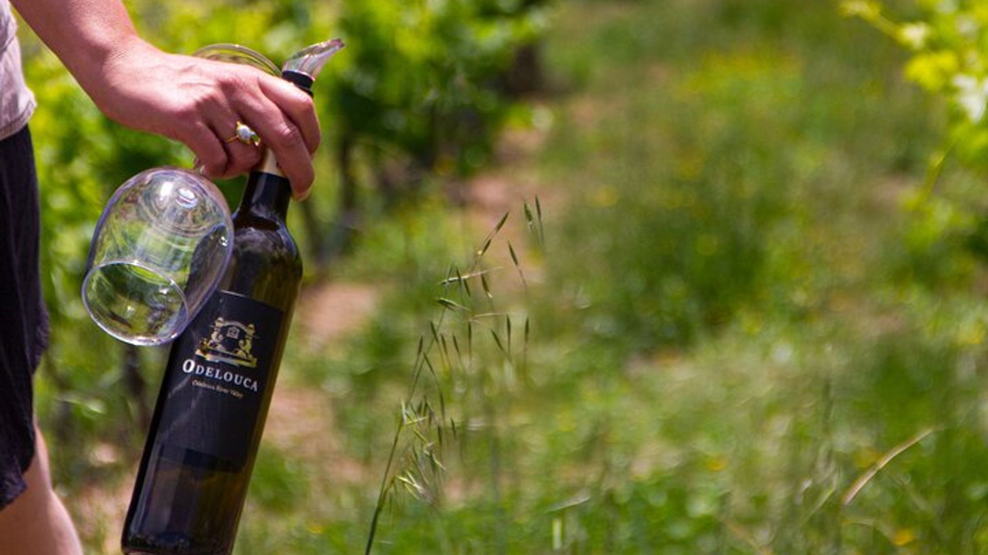 Dégustation de vin d'Albufeira : Visite de la cave Boutique & Silves historiques