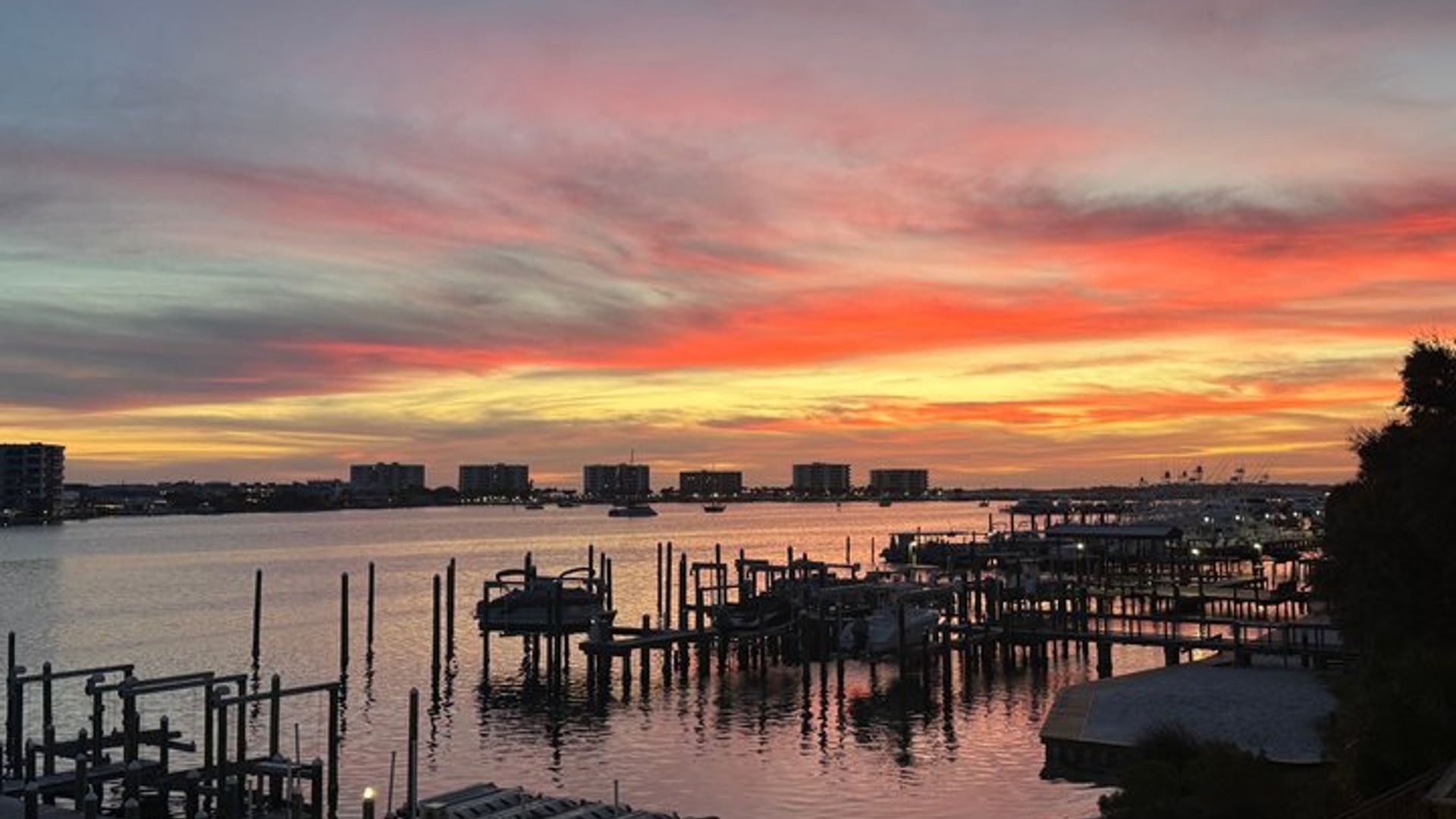 Delfinbeobachtungstour bei Sonnenuntergang
