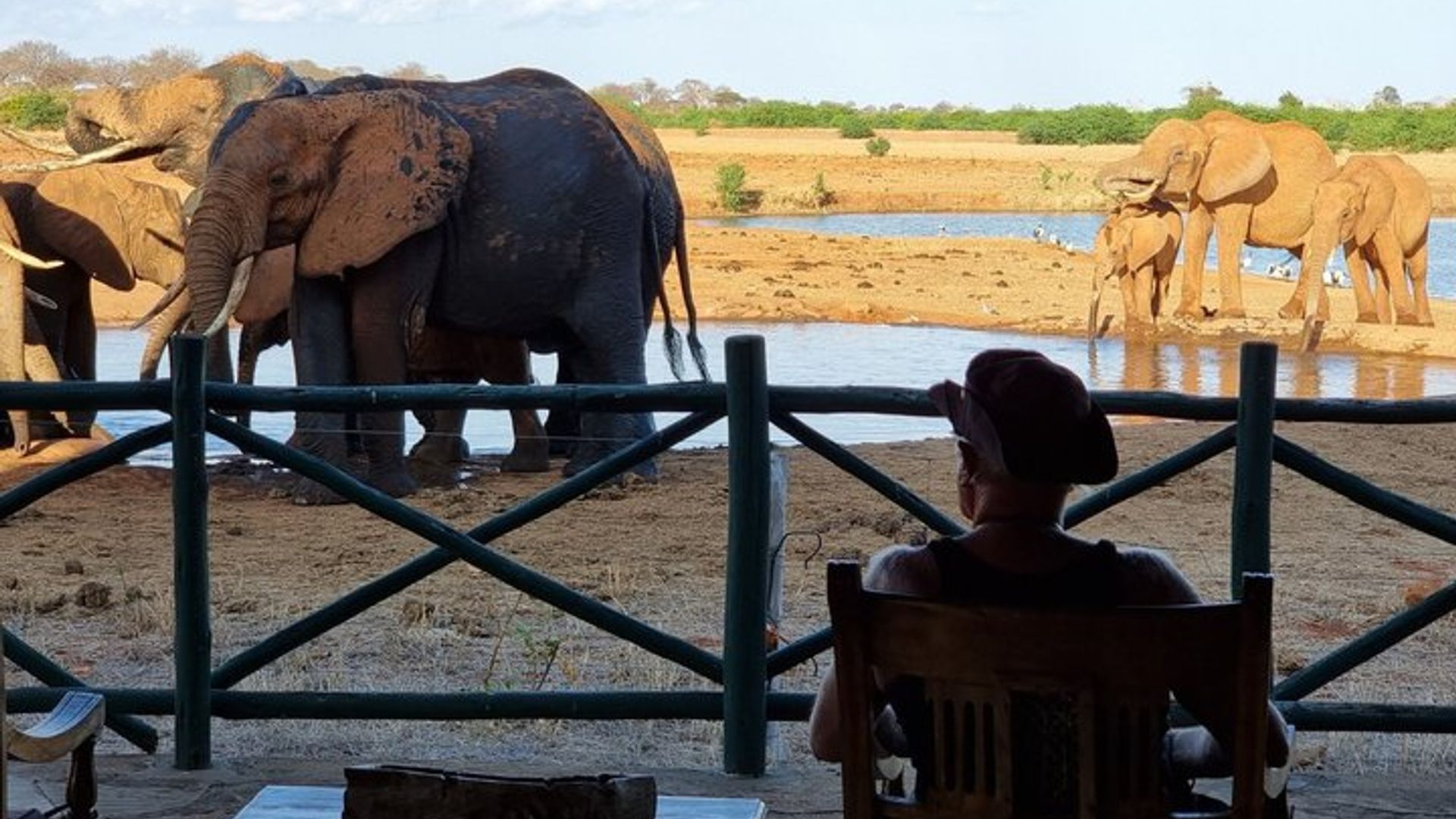 2-Day Mombasa to Tsavo East National Park Wildlife Safari