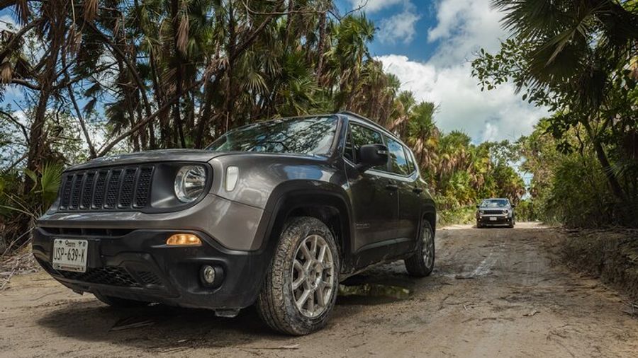 Cozumel: Half-Day Off-Road Private Tour, Isla Passion by Boat