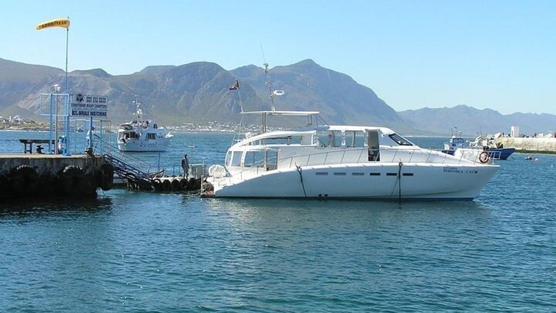 Cape Town: Private Whale Watching and Winelands Tour