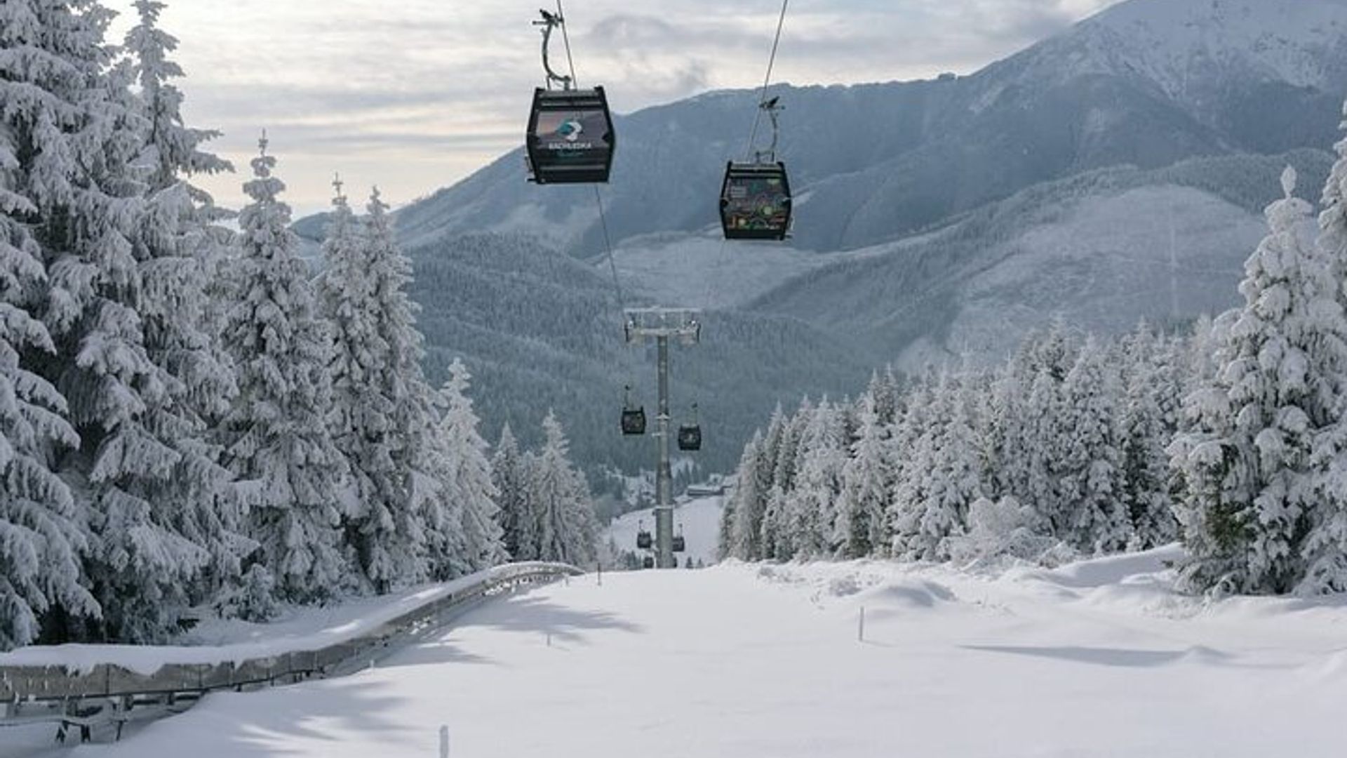 Cracovia : Eslovaquia Treetop Walk y Zakopane Tour