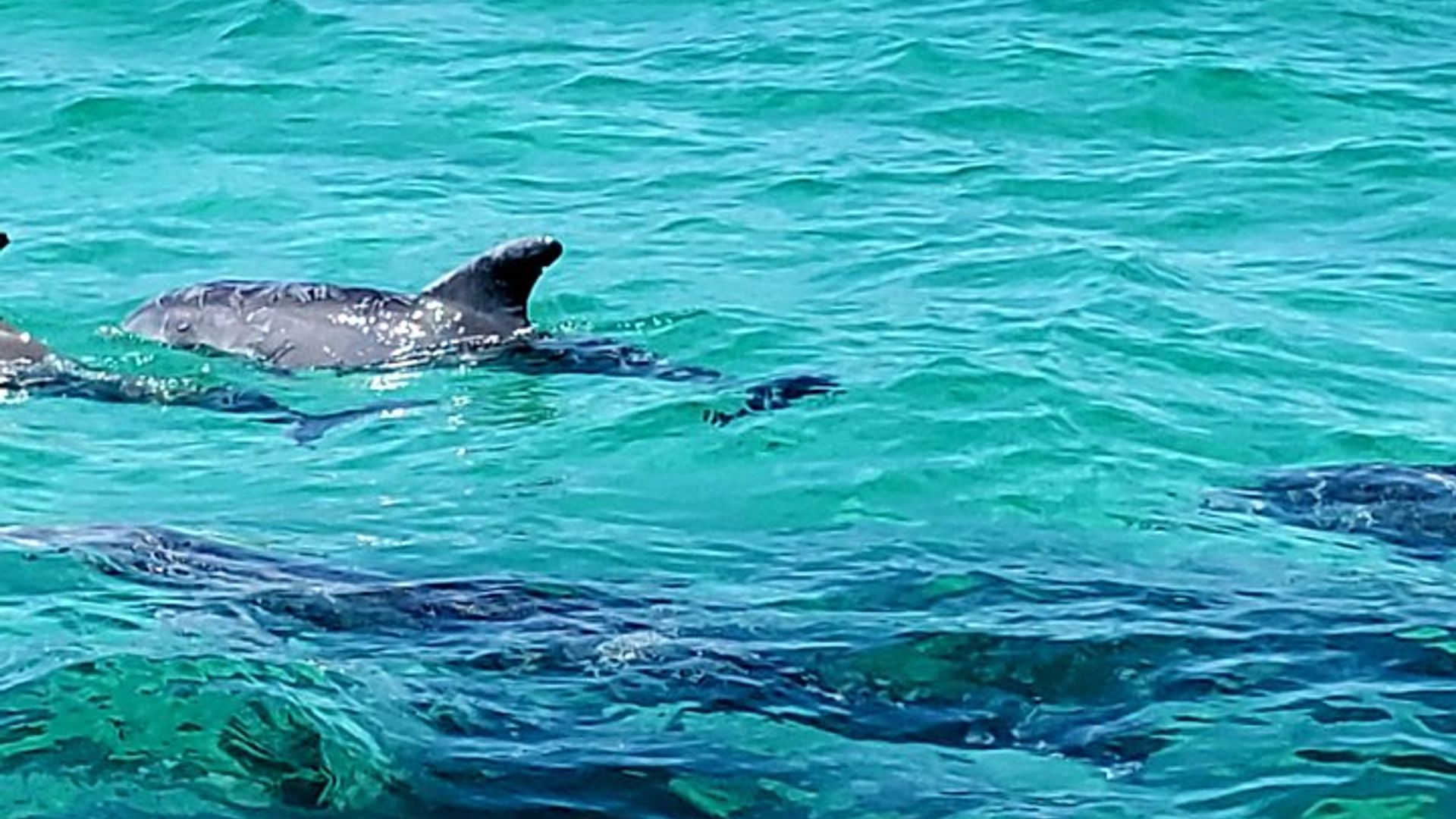 Crucero turístico por el puerto de destino otoño/invierno
