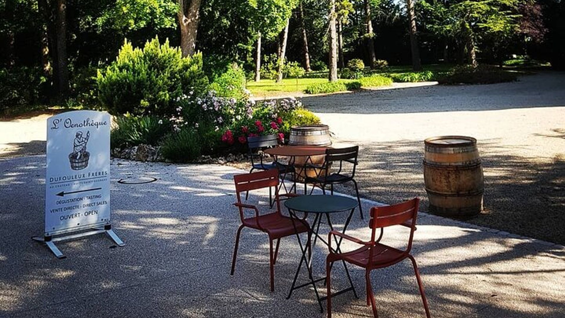 Private wine tasting workshop by Dufouleur - Bourgogne