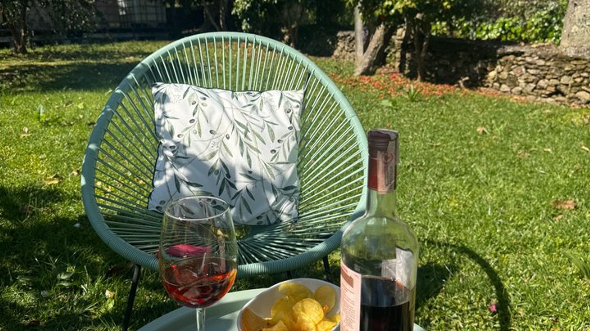 2 Countries in 1 Day Spain Wine and Portugal Farm Cooking Class