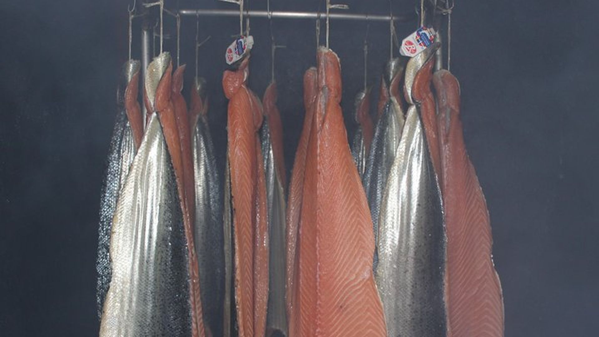 Visitas del salmón artesanal Bayeux