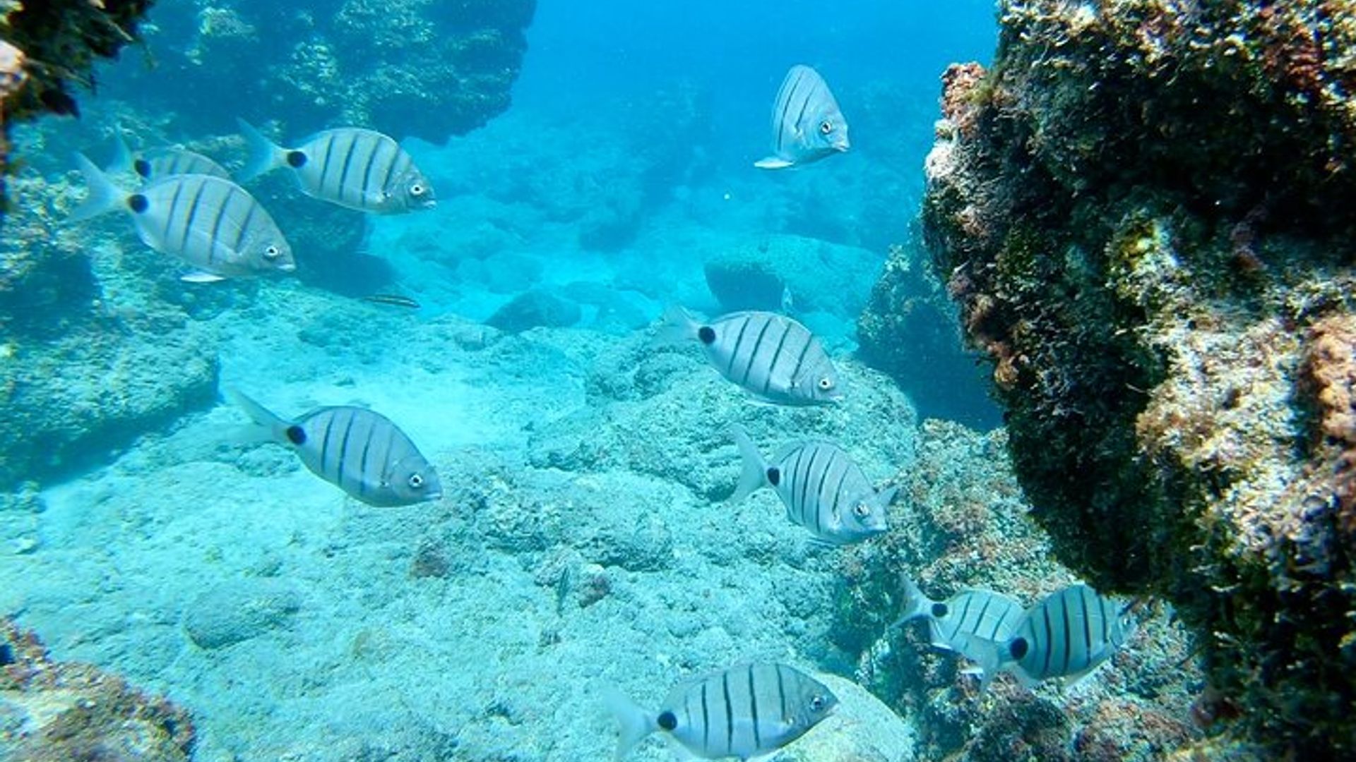 Excursion d'une demi-journée en petit groupe à Santa Maria