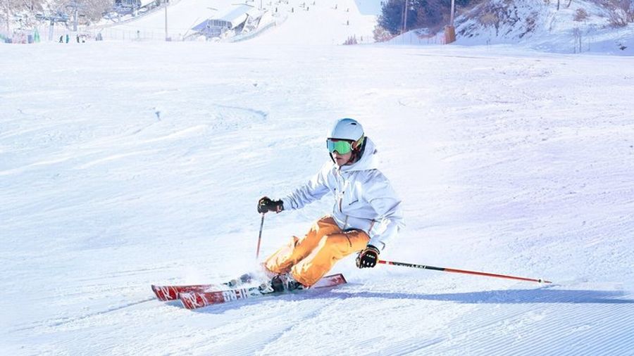 Seoul: Eobi Ice Valley Elysian Resort Nami Island Day Trip