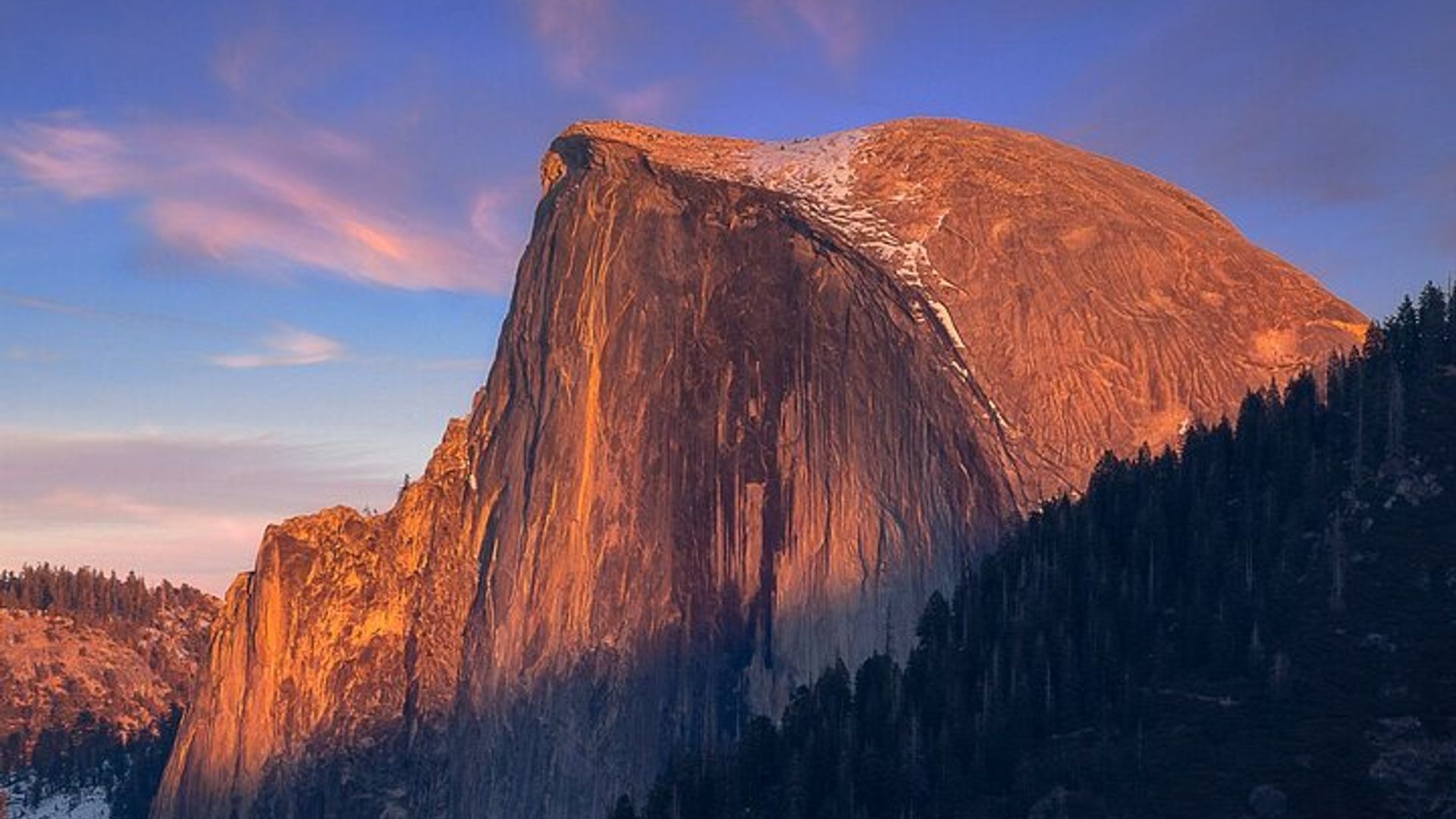 Yosemite Adventure: Full-Day Private Tour from San Francisco image 3