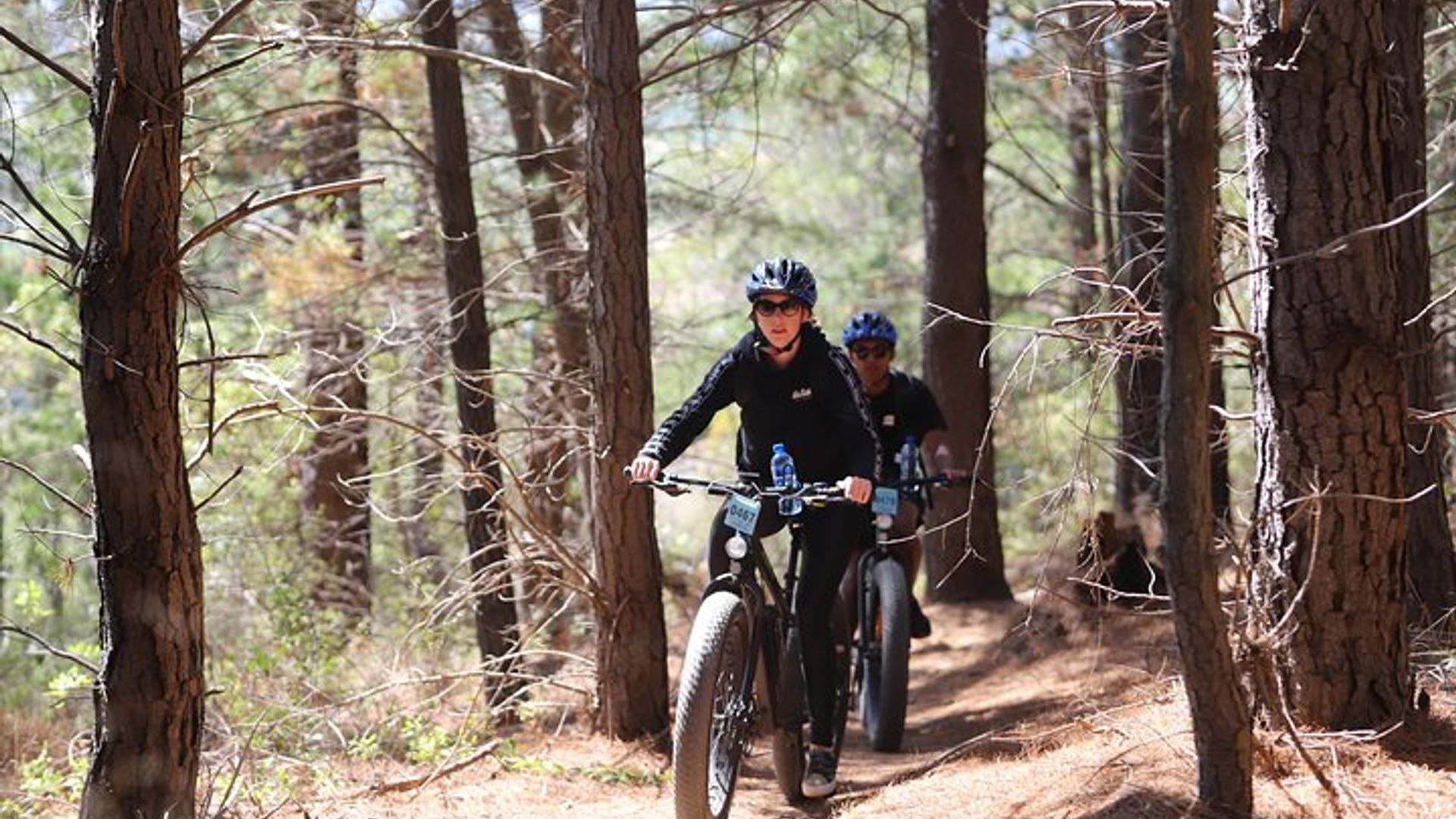 Desde Ciudad del Cabo: excursión de día completo en bicicleta eléctrica Winelands Tour y almuerzo