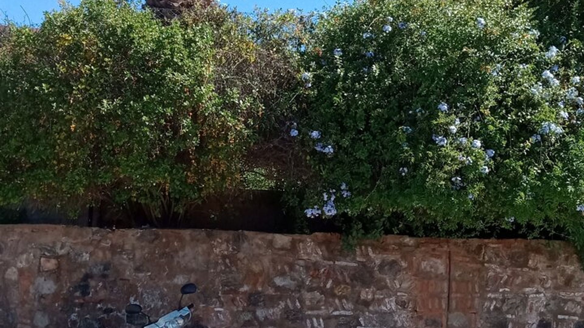 property.imageAlt