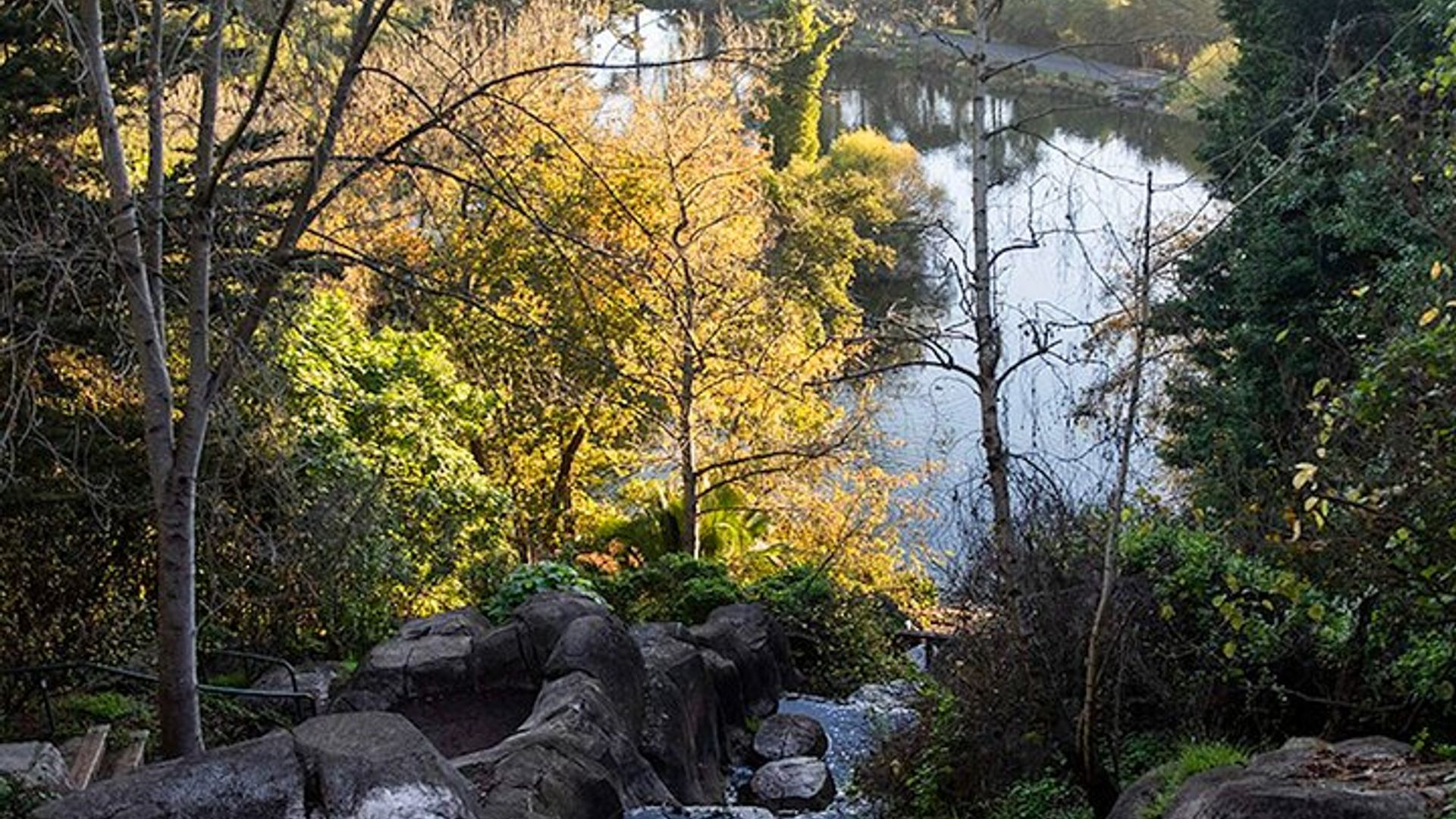 San Francisco Chronicle's Golden Gate Park Self-Guided Tour image 3