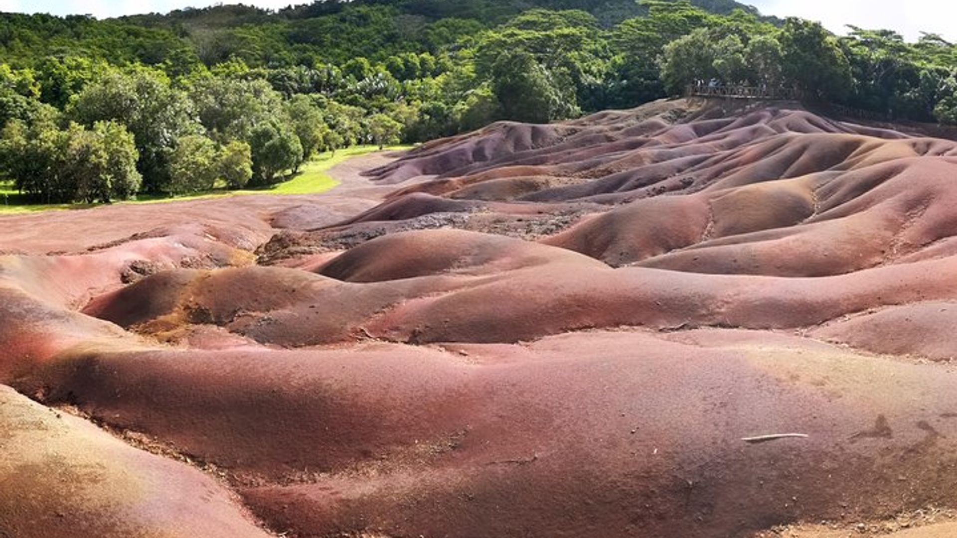 Visite privée de l'île Maurice