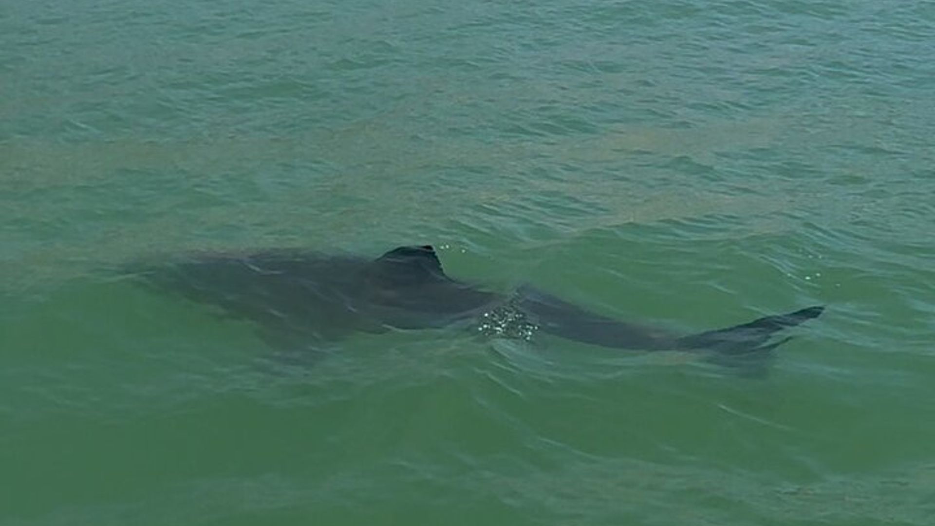 Top-bewertete Aktivitäten in Monterey Bay