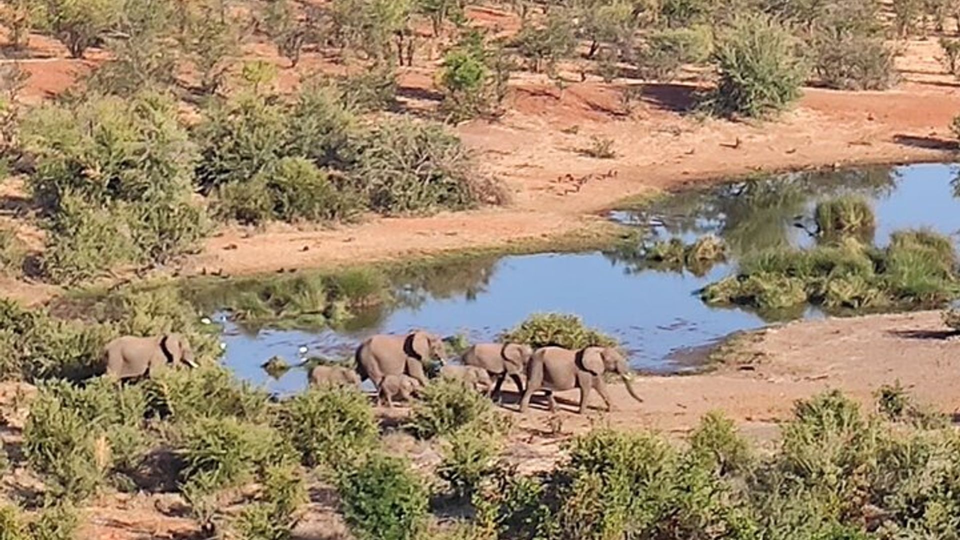 4x4 Safari in Victoria Falls` Zambezi National Park *D-ES-F