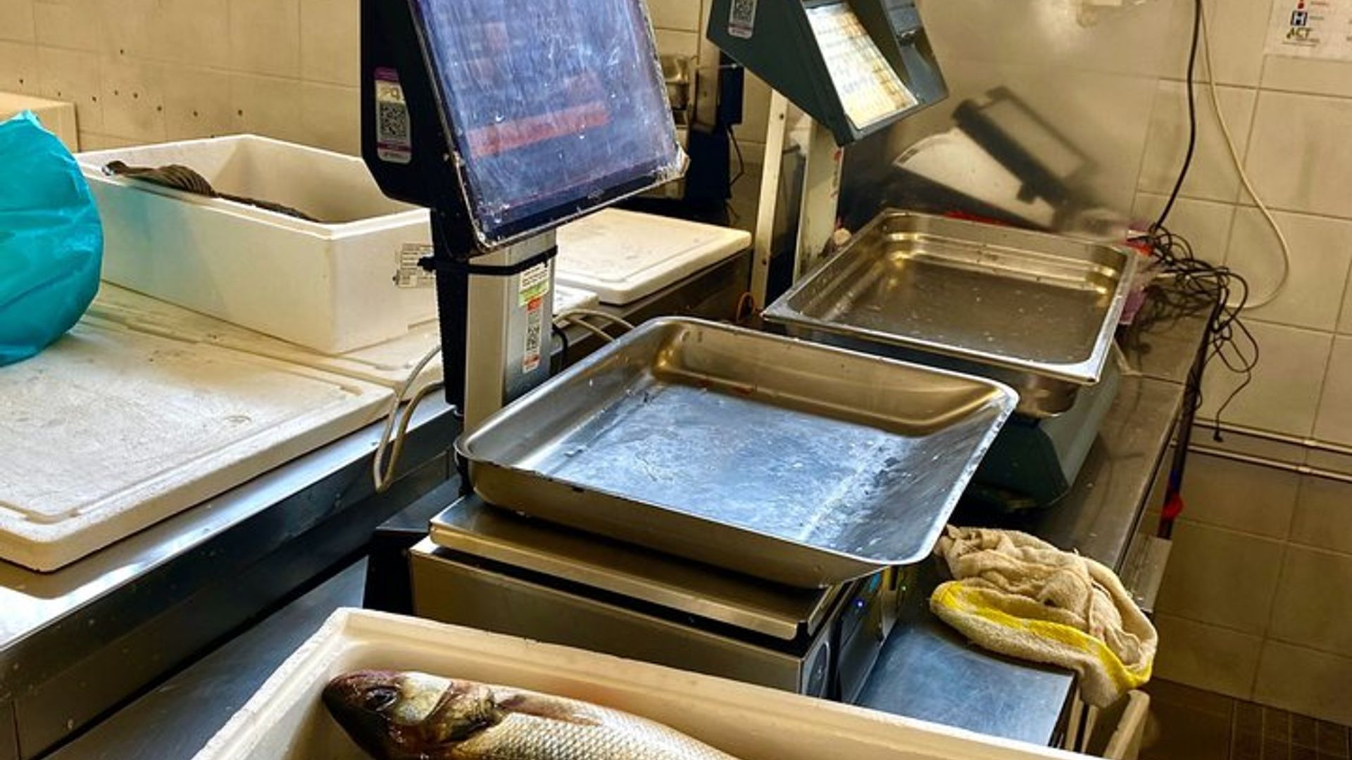 Expérience de poisson privée avec déjeuner de marché à table de Porto
