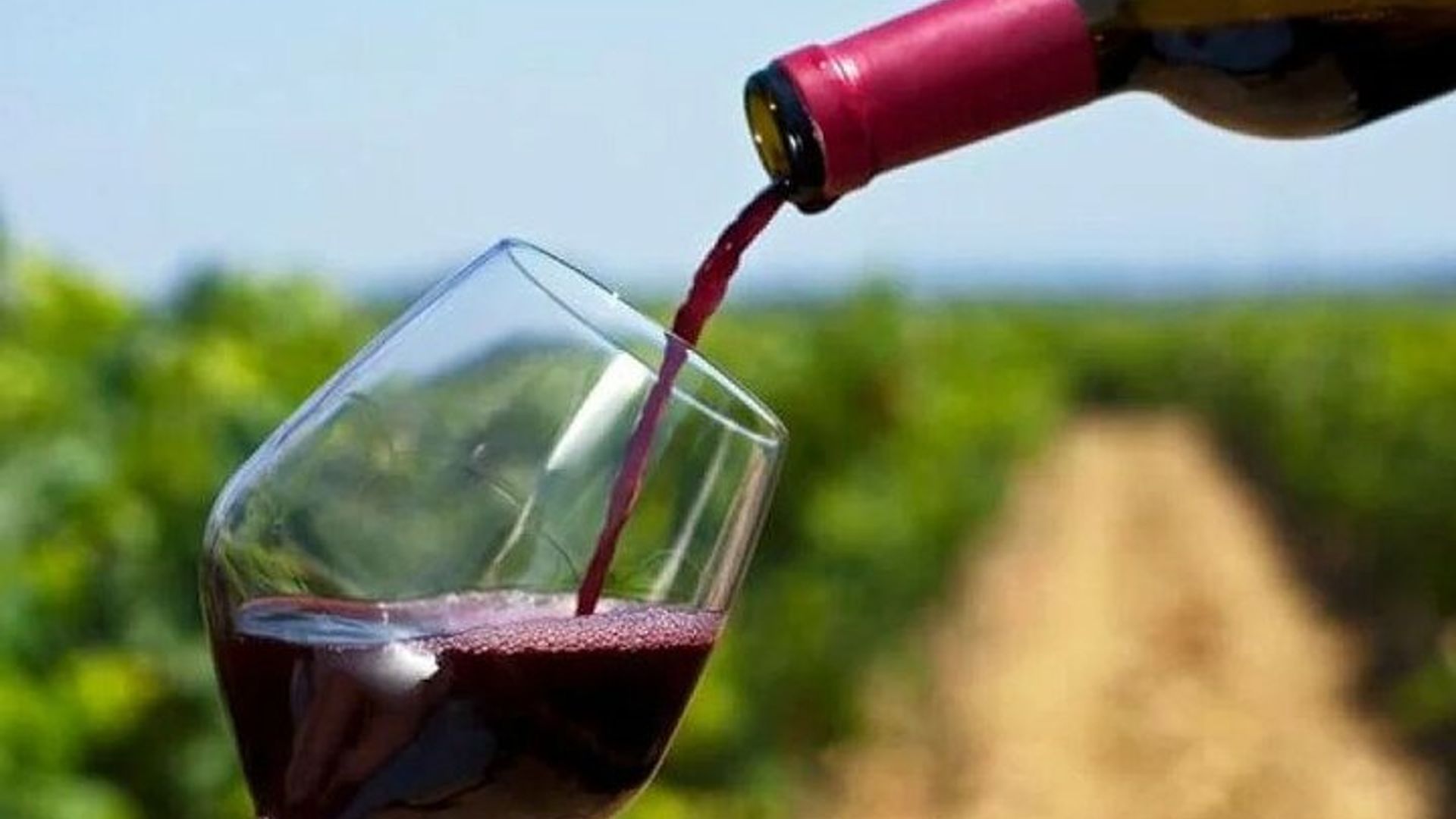 Franschhoek Wine Tram Hop On Hop Off Tour