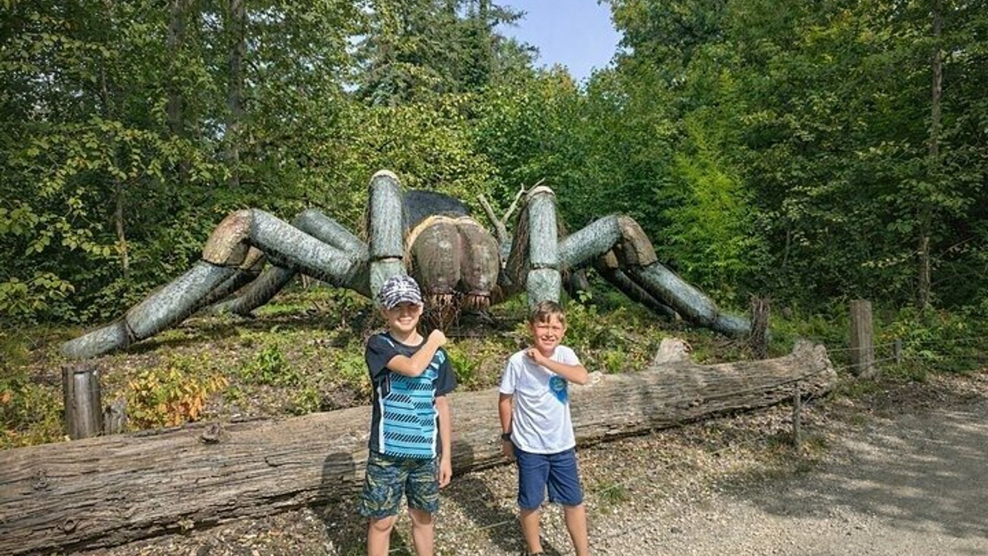From Safari to Vikings A Family Day Tour