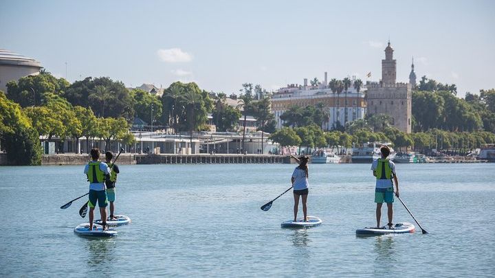 Seville Paddle Surf Group Tour
