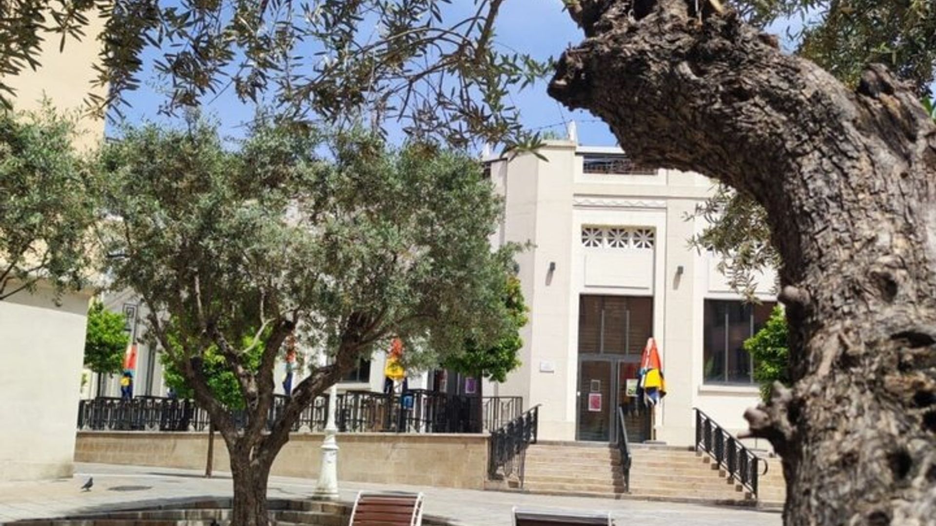 Geführte Tour durch die Altstadt von Toulon : Geheimnisse und Geschichten