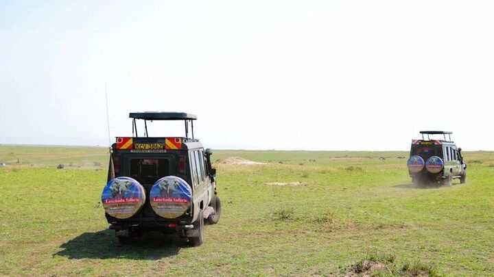 3 Day Masai Mara Migration 2026 | Daily Budget Safaris on 4×4