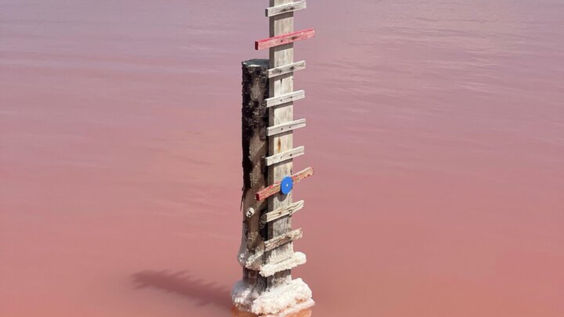 Ein Tag in der Camargue, Aigues-Mortes und Sainte-Marie-de-la-Mer