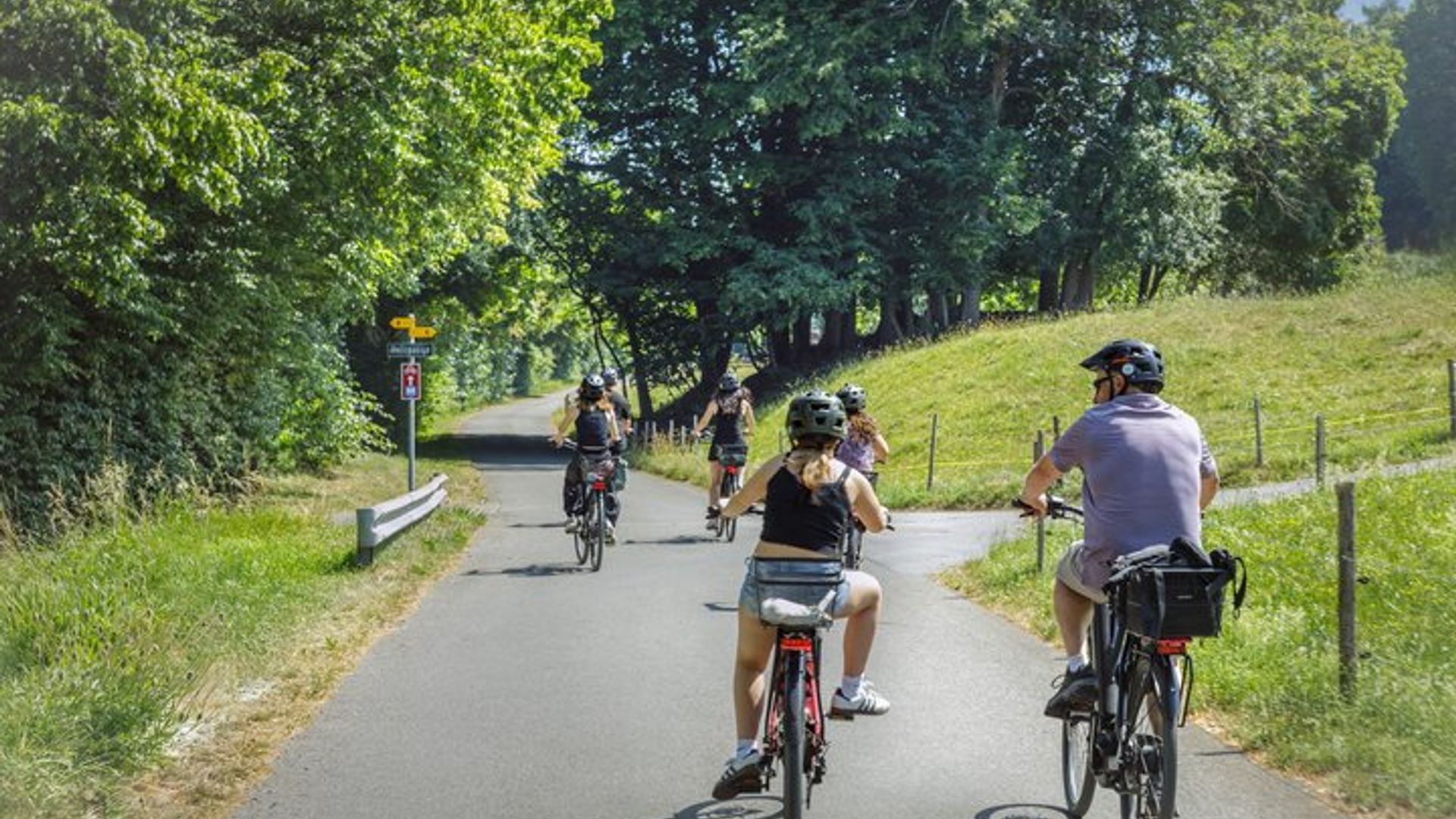 Interlaken E-Bike Tour: Campagne et ruines du château