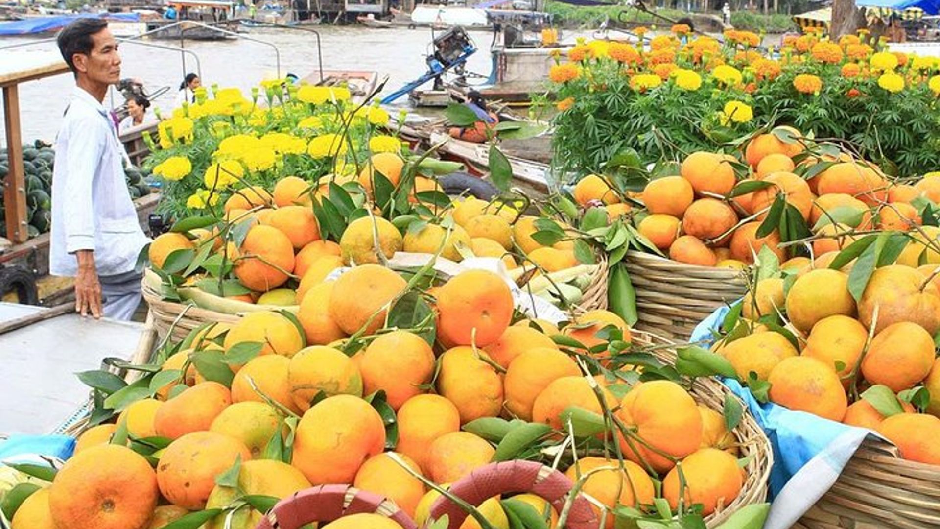 Delta du Mékong en petit groupe de 2 jours à HCMV, visite du marché flottant