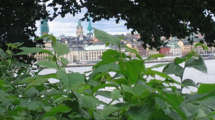 Stockholm: Highlights and Fika Small-Group Tour