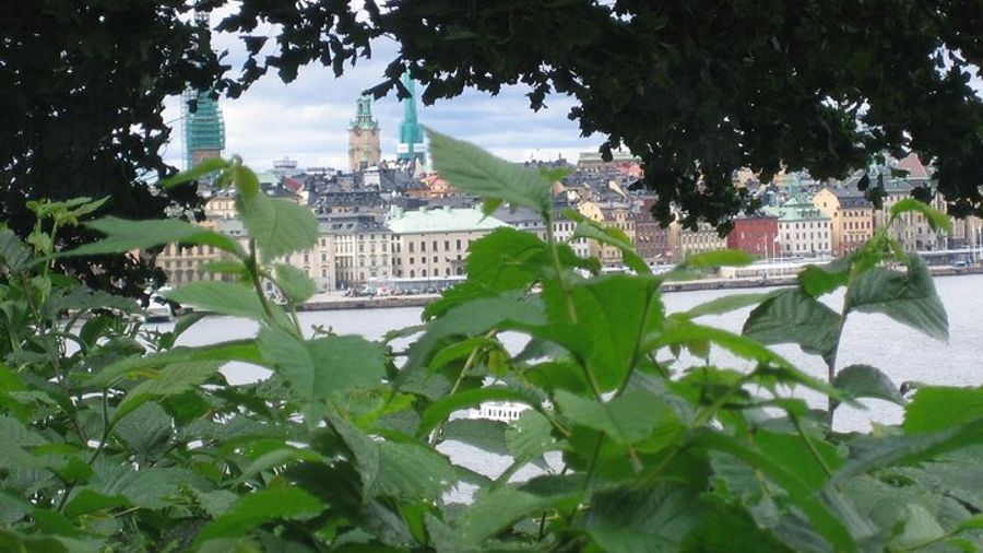 Stockholm: Highlights and Fika Small-Group Tour