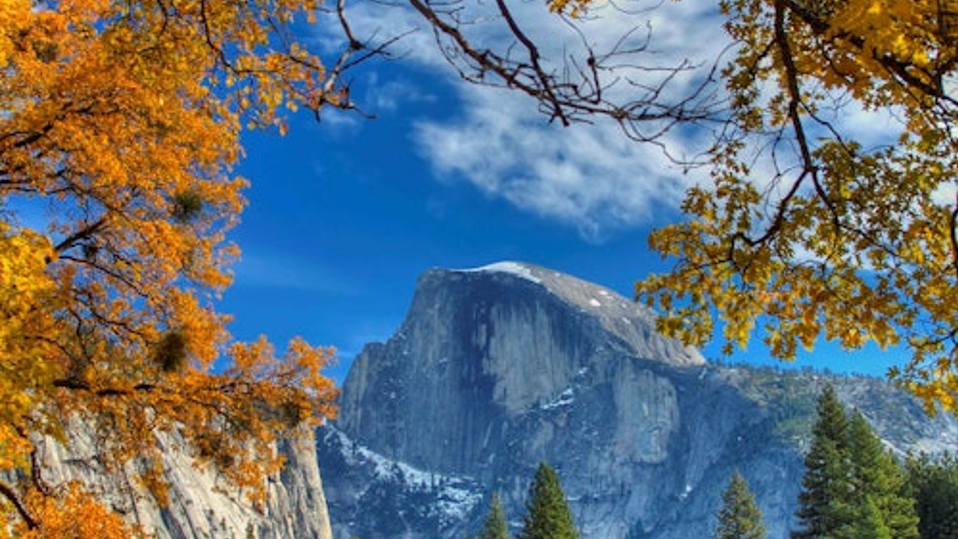 From San Francisco: Full Day Yosemite and Giant Sequoia Tour image 1