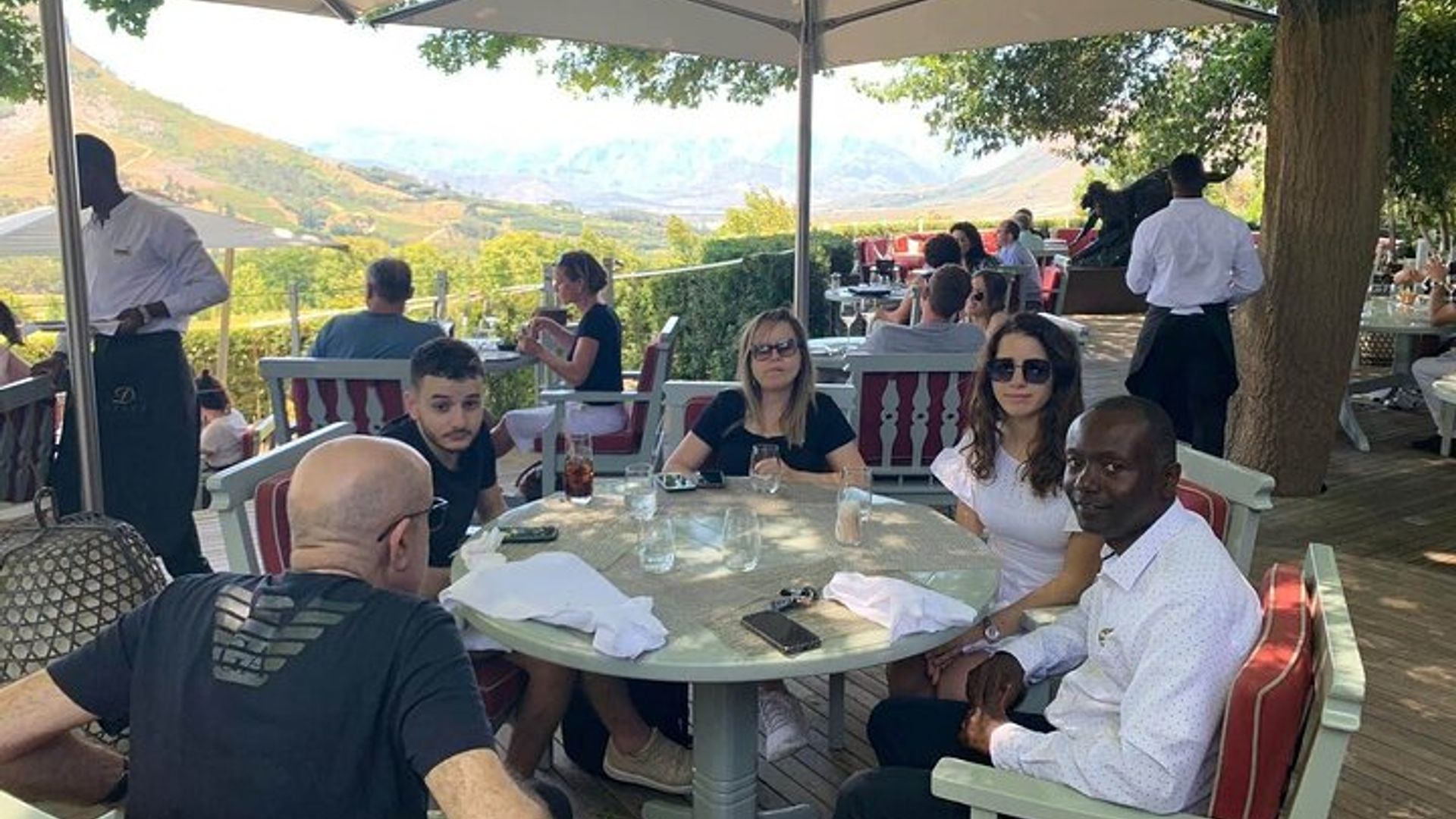 Vignobles familiaux et faune : Stellenbosch et Paarl