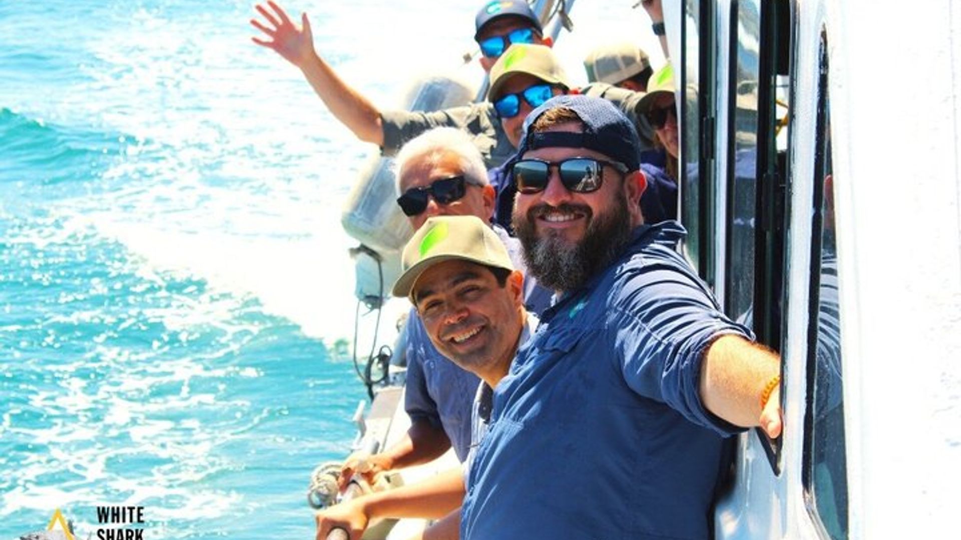 Great White Shark Cage Diving Experience