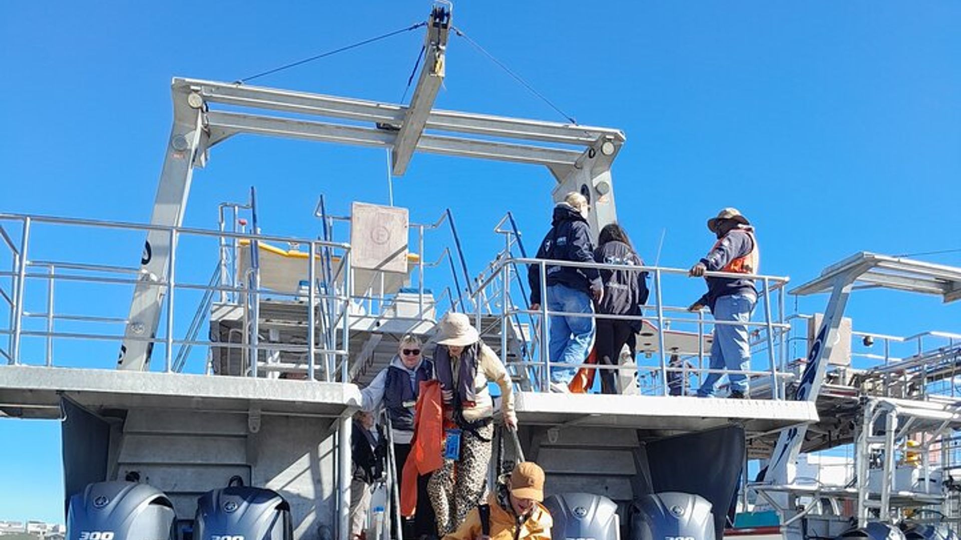 Activité privée d'observation guidée des baleines au Cap