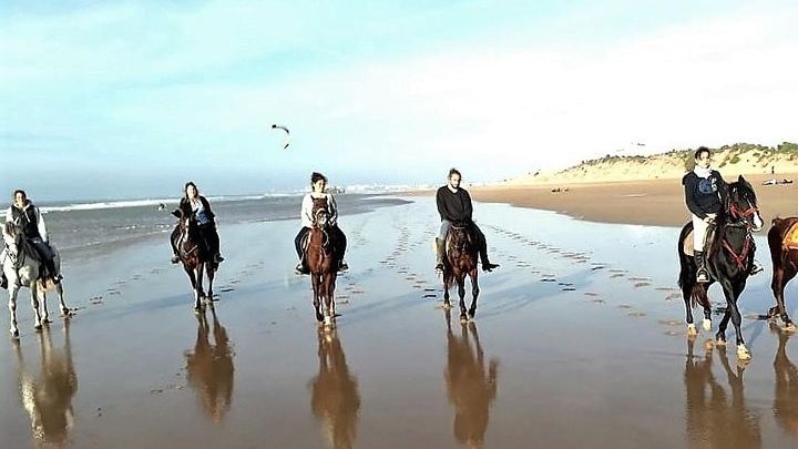 Horse riding on the beach of Essaouira 3 hours
