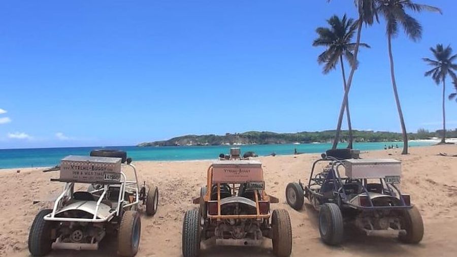 Punta Cana: Half-Day, Small-Group ATV Dune Buggy Adventure