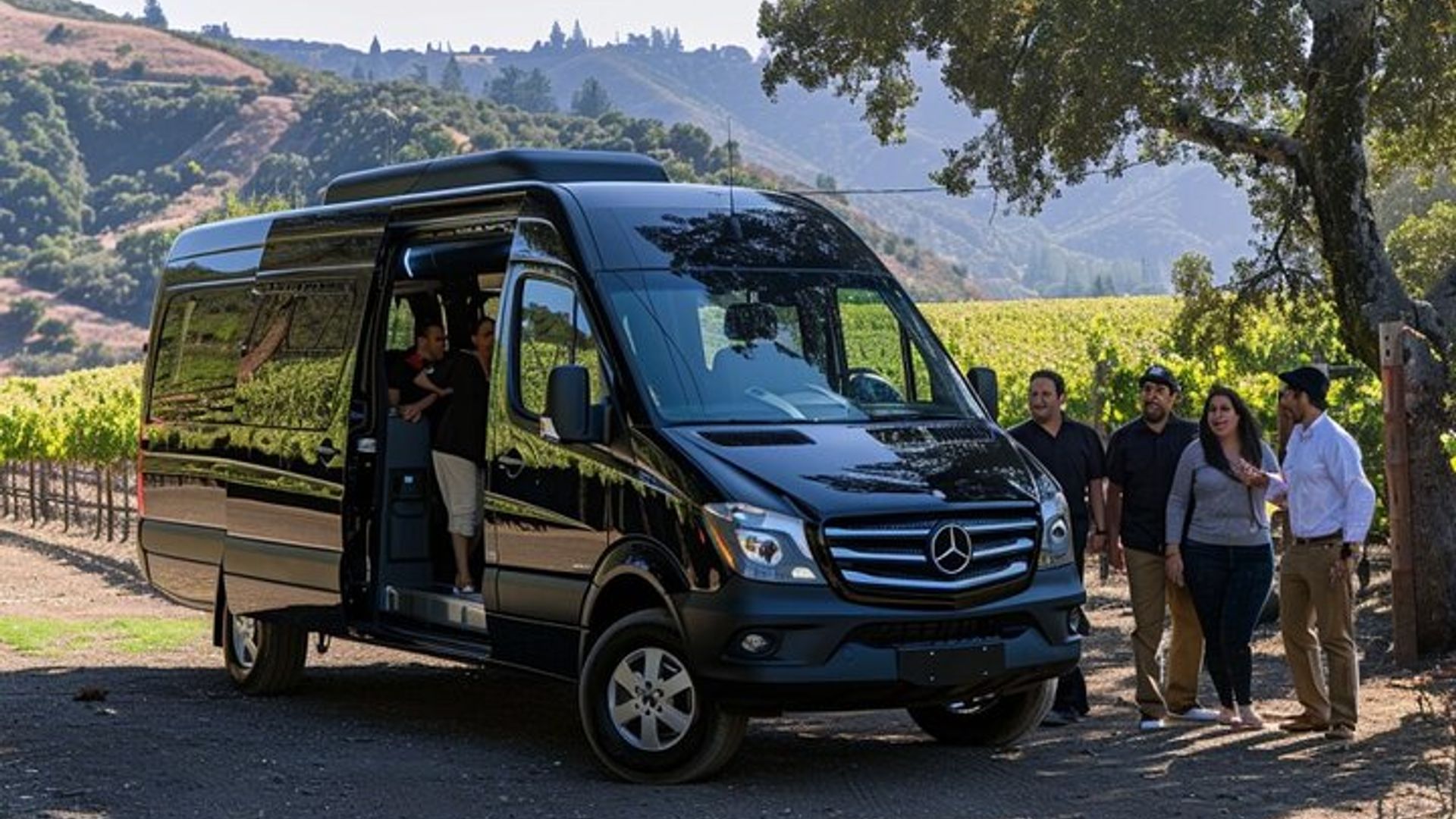Napa Valley and Sonoma Wine Country Tour from San Francisco image 2