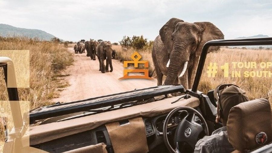 Pilanesberg Nature Reserve Full-Day Small-Group Safari Tour