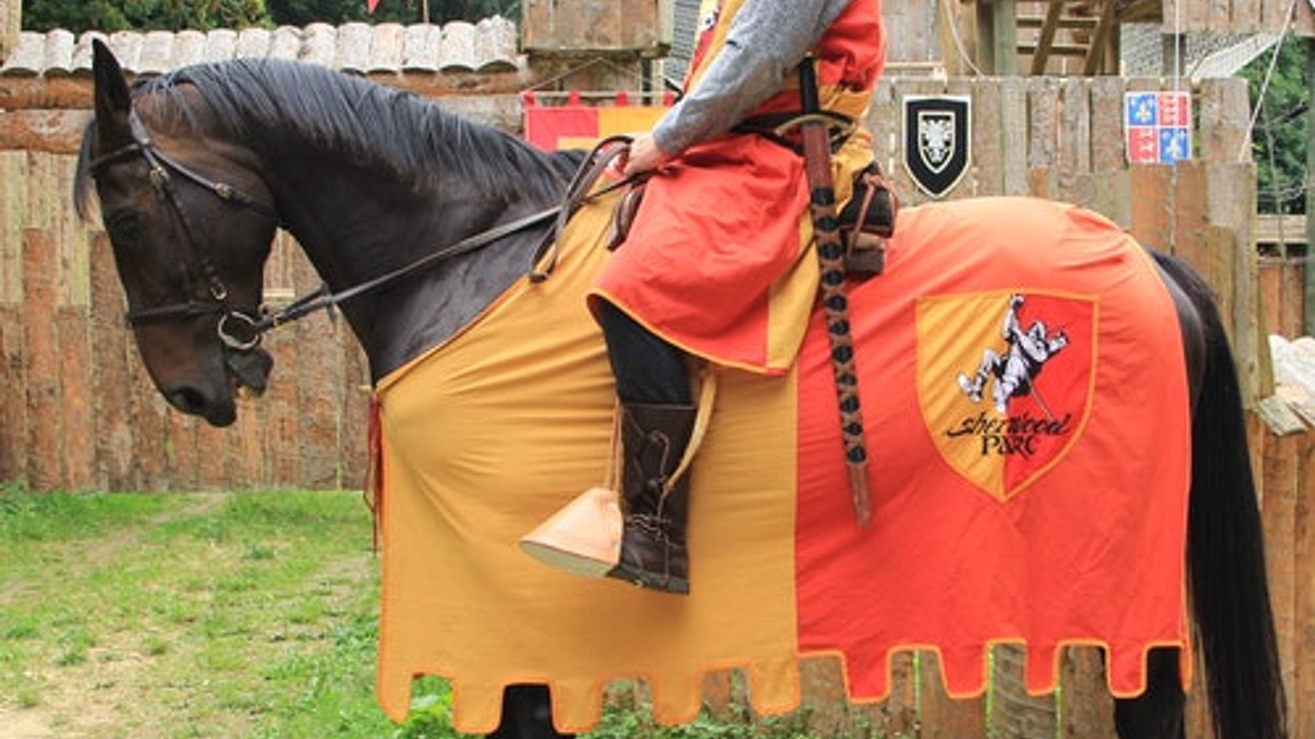 Sherwood Parc : Billet d'entrée