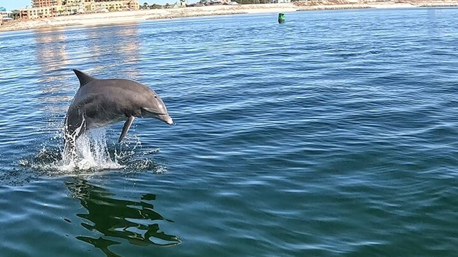 Crab Island Customizable Private Captained Boat Charter