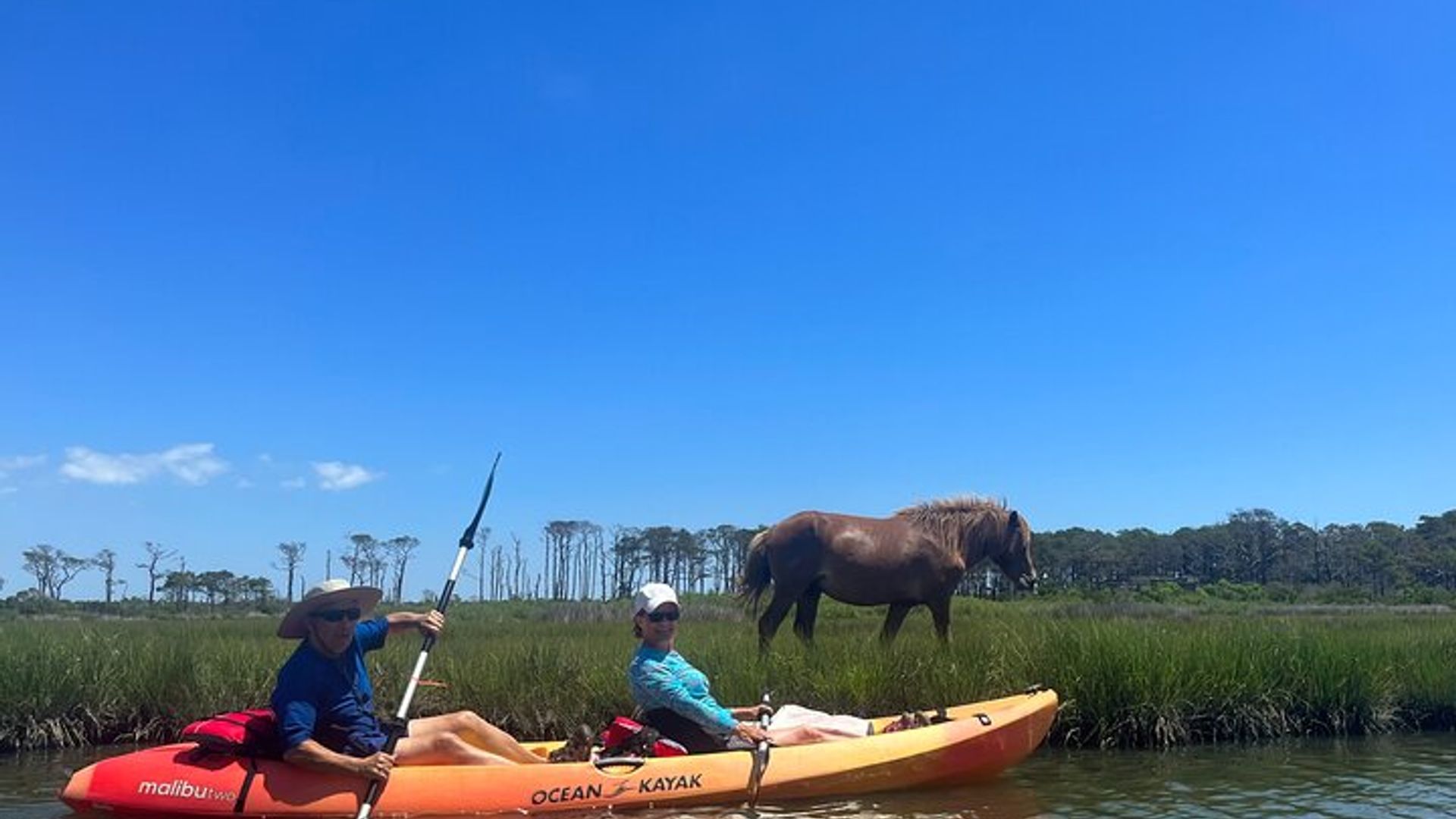 Double Sit on Top Kayak Rental at Assateague Island, MD