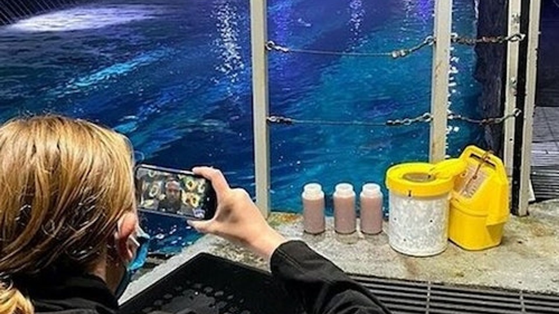 San Francisco: VIP Experience at Aquarium of the Bay image 2